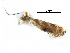  ( - CCDB-29066-A07_NGS)  @11 [ ] CreativeCommons - Attribution (2016) CBG Photography Group Centre for Biodiversity Genomics