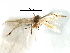  ( - CCDB-29066-B06_NGS)  @11 [ ] CreativeCommons - Attribution (2016) CBG Photography Group Centre for Biodiversity Genomics