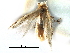  ( - CCDB-29066-B07_NGS)  @11 [ ] CreativeCommons - Attribution (2016) CBG Photography Group Centre for Biodiversity Genomics