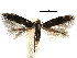  ( - CCDB-29066-C03_NGS)  @11 [ ] CreativeCommons - Attribution (2016) CBG Photography Group Centre for Biodiversity Genomics