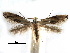  ( - CCDB-29066-C12_NGS)  @11 [ ] CreativeCommons - Attribution (2016) CBG Photography Group Centre for Biodiversity Genomics