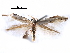  ( - CCDB-29066-F05_NGS)  @11 [ ] CreativeCommons - Attribution (2016) CBG Photography Group Centre for Biodiversity Genomics