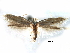  ( - CCDB-29066-F09_NGS)  @11 [ ] CreativeCommons - Attribution (2016) CBG Photography Group Centre for Biodiversity Genomics