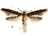  ( - CCDB-29066-G08_NGS)  @11 [ ] CreativeCommons - Attribution (2016) CBG Photography Group Centre for Biodiversity Genomics