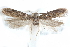 ( - CCDB-29067-B10_NGS)  @11 [ ] CreativeCommons - Attribution (2016) CBG Photography Group Centre for Biodiversity Genomics