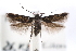  ( - CCDB-29067-D08_NGS)  @11 [ ] CreativeCommons - Attribution (2016) CBG Photography Group Centre for Biodiversity Genomics