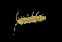  ( - NIB_CCM_0147)  @11 [ ] BY-NC (2021) Bernard Picton Queens University Belfast