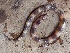  ( - NG64)  @11 [ ] copyright (2022) Segun O. OLADIPO Kwara State University
