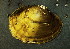  ( - BIOUG13944-H09)  @11 [ ] CreativeCommons - Attribution (2014) Kara Layton Centre for Biodiversity Genomics