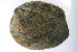  ( - MUS040)  @11 [ ] CreativeCommons - Attribution (2015) CBG Photography Group Centre for Biodiversity Genomics