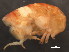  ( - 10BIOBC-01001)  @12 [ ] CreativeCommons - Attribution (2011) CBG Photography Group Centre for Biodiversity Genomics