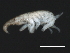  ( - 10BIOBC-00848)  @11 [ ] CreativeCommons - Attribution (2010) CBG Photography Group Centre for Biodiversity Genomics