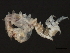  ( - 10BIOBC-00904)  @12 [ ] CreativeCommons - Attribution (2010) CBG Photography Group Centre for Biodiversity Genomics