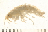  ( - 09PROBE-008601)  @11 [ ] CreativeCommons - Attribution (2010) Unspecified Centre for Biodiversity Genomics
