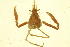  ( - 10BIOBC-01217)  @12 [ ] CreativeCommons - Attribution (2011) CBG Photography Group Centre for Biodiversity Genomics