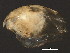  ( - NJAK-0012)  @11 [ ] CreativeCommons - Attribution (2011) CBG Photography Group Centre for Biodiversity Genomics