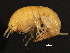  ( - NJAK-0139)  @11 [ ] CreativeCommons - Attribution (2011) CBG Photography Group Centre for Biodiversity Genomics