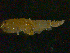  ( - NJCS-4)  @11 [ ] CreativeCommons - Attribution (2010) Unspecified Centre for Biodiversity Genomics
