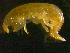  ( - NJCS-7)  @13 [ ] CreativeCommons - Attribution (2010) Unspecified Centre for Biodiversity Genomics