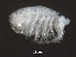  ( - NJPEL-00002)  @12 [ ] CreativeCommons - Attribution (2011) CBG Photography Group Centre for Biodiversity Genomics