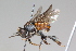  ( - 2_13_5k2)  @12 [ ] CreativeCommons - Attribution Non-Commercial Share-Alike (2015) Nelly Ndungu icipe