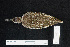  ( - ZMA.AVES.58295)  @11 [ ] CreativeCommons - Attribution Non-Commercial Share-Alike (2013) Unspecified Naturalis Biodiversity Center