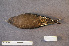  ( - ZMA.AVES.58778)  @11 [ ] CreativeCommons - Attribution Non-Commercial Share-Alike (2013) Unspecified Naturalis Biodiversity Center