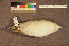  ( - ZMA.AVES.60119)  @11 [ ] CreativeCommons - Attribution Non-Commercial Share-Alike (2013) Unspecified Naturalis Biodiversity Center
