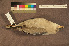  ( - ZMA.AVES.60121)  @11 [ ] CreativeCommons - Attribution Non-Commercial Share-Alike (2013) Unspecified Naturalis Biodiversity Center