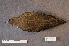  ( - ZMA.AVES.64545)  @11 [ ] CreativeCommons - Attribution Non-Commercial Share-Alike (2013) Unspecified Naturalis Biodiversity Center