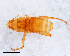  ( - SE.2015.1953)  @11 [ ] CreativeCommons  Attribution (by) (2018) Unspecified Naturalis Biodiversity Center