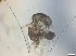  ( - RMNH.5091543)  @11 [ ] CreativeCommons - Attribution Non-Commercial Share-Alike (2018) Unspecified Naturalis Biodiversity Center