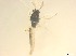  ( - RMNH.5091560)  @11 [ ] CreativeCommons - Attribution Non-Commercial Share-Alike (2018) Unspecified Naturalis Biodiversity Center