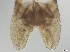  ( - RMNH.5091560)  @11 [ ] CreativeCommons - Attribution Non-Commercial Share-Alike (2018) Unspecified Naturalis Biodiversity Center