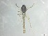  ( - RMNH.5091577)  @11 [ ] CreativeCommons - Attribution Non-Commercial Share-Alike (2018) Unspecified Naturalis Biodiversity Center
