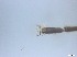  ( - RMNH.5091577)  @11 [ ] CreativeCommons - Attribution Non-Commercial Share-Alike (2018) Unspecified Naturalis Biodiversity Center