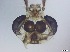  ( - RMNH.5091577)  @11 [ ] CreativeCommons - Attribution Non-Commercial Share-Alike (2018) Unspecified Naturalis Biodiversity Center