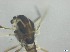 ( - RMNH.5091577)  @11 [ ] CreativeCommons - Attribution Non-Commercial Share-Alike (2018) Unspecified Naturalis Biodiversity Center