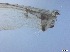  ( - RMNH.5091584)  @11 [ ] CreativeCommons - Attribution Non-Commercial Share-Alike (2018) Unspecified Naturalis Biodiversity Center