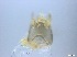  ( - RMNH.5091596)  @11 [ ] CreativeCommons - Attribution Non-Commercial Share-Alike (2018) Unspecified Naturalis Biodiversity Center