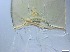  ( - RMNH.5091637)  @11 [ ] CreativeCommons - Attribution Non-Commercial Share-Alike (2018) Unspecified Naturalis Biodiversity Center