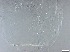  ( - RMNH.5091642)  @11 [ ] CreativeCommons - Attribution Non-Commercial Share-Alike (2018) Unspecified Naturalis Biodiversity Center