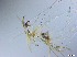  ( - RMNH.5091655)  @11 [ ] CreativeCommons - Attribution Non-Commercial Share-Alike (2018) Unspecified Naturalis Biodiversity Center