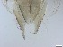  ( - RMNH.5091660)  @11 [ ] CreativeCommons - Attribution Non-Commercial Share-Alike (2018) Unspecified Naturalis Biodiversity Center