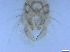 ( - RMNH.5091675)  @11 [ ] CreativeCommons - Attribution Non-Commercial Share-Alike (2018) Unspecified Naturalis Biodiversity Center