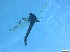  ( - RMNH.5091687)  @11 [ ] CreativeCommons - Attribution Non-Commercial Share-Alike (2018) Unspecified Naturalis Biodiversity Center