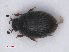  ( - RMNH.INS.535282)  @11 [ ] CreativeCommons - Attribution Non-Commercial Share-Alike (2013) Unspecified Naturalis Biodiversity Center