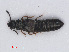  ( - RMNH.INS.535315)  @14 [ ] CreativeCommons - Attribution Non-Commercial Share-Alike (2013) Unspecified Naturalis Biodiversity Center