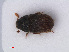  ( - RMNH.INS.536523)  @12 [ ] CreativeCommons - Attribution Non-Commercial Share-Alike (2013) Unspecified Naturalis Biodiversity Center