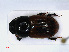  ( - RMNH.INS.536697)  @11 [ ] CreativeCommons - Attribution Non-Commercial Share-Alike (2013) Unspecified Naturalis Biodiversity Center